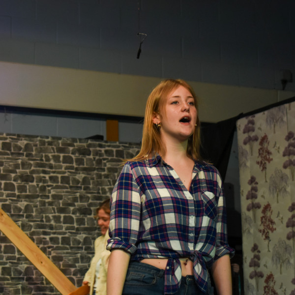 Rehearsals (228)