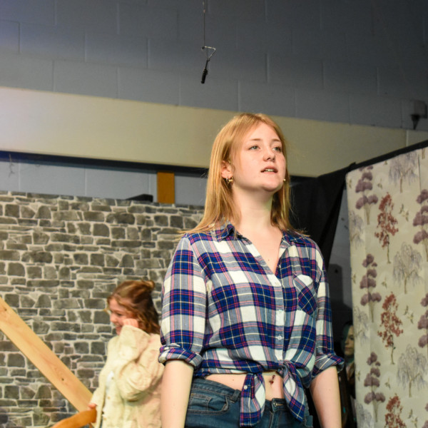 Rehearsals (229)