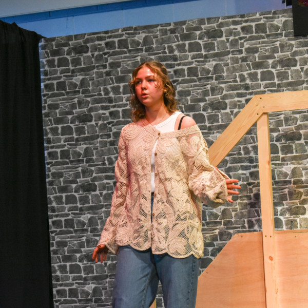 Rehearsals (248)