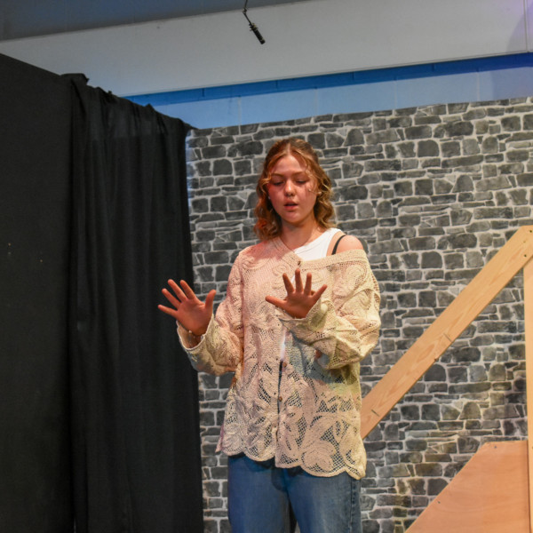 Rehearsals (249)