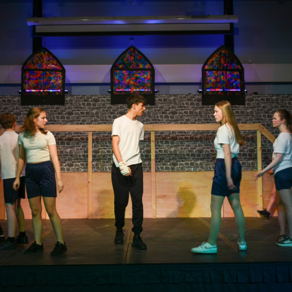 Rehearsals (296)