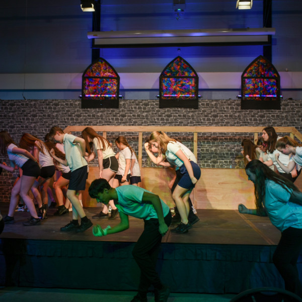 Rehearsals (309)