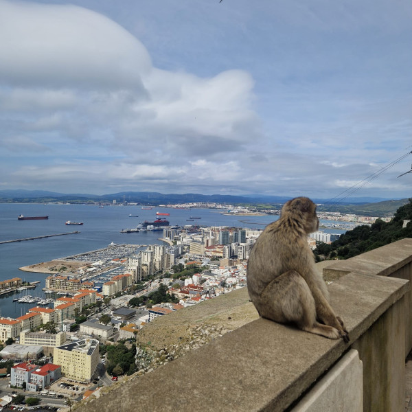 IMG-20250403-WA0043