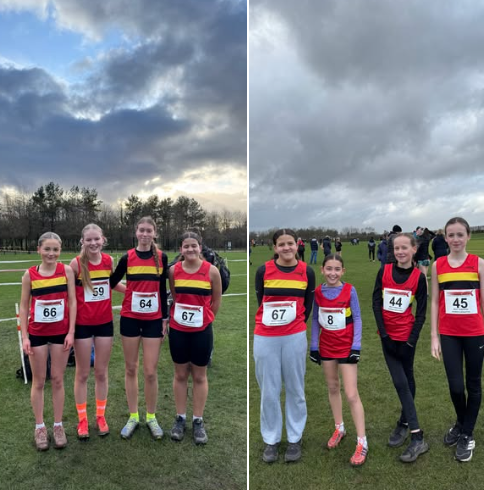 Screenshot 2026-02-05 083133